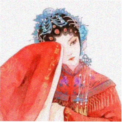 读者木叶舟头像
